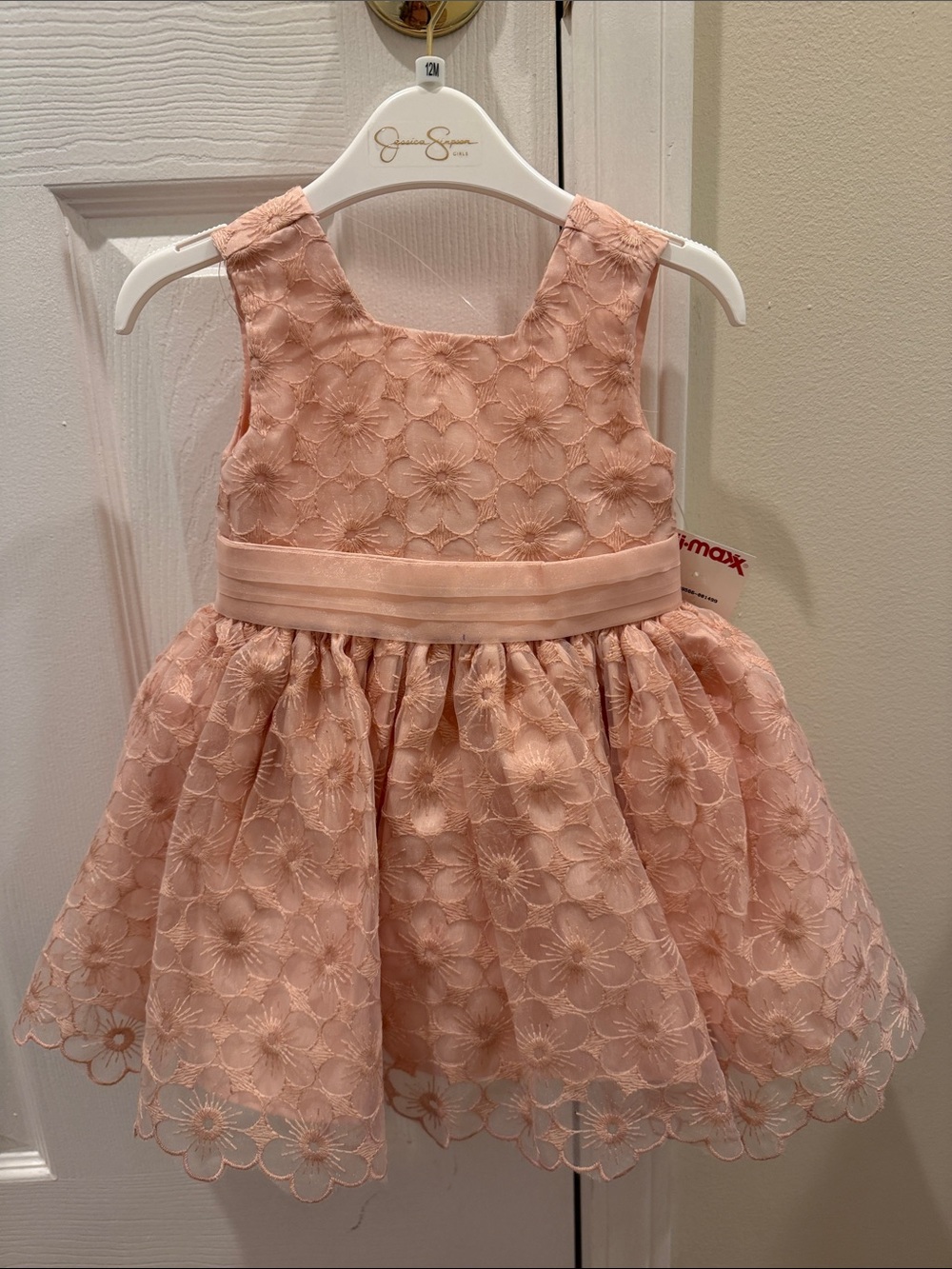 Baby Girls Floral Lace Party Dress - Blush Pink